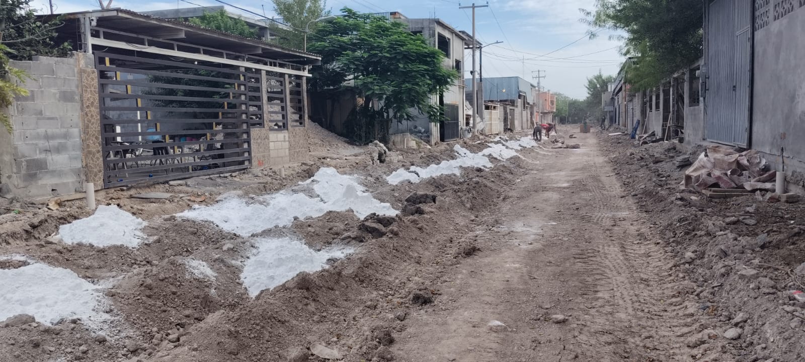 Imagen de la obra